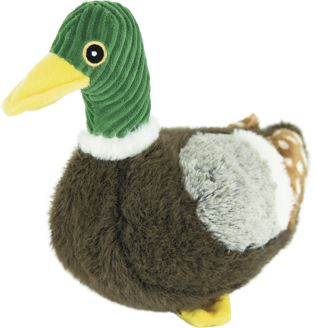 Play On Plush Mallard Duck Dog Toy