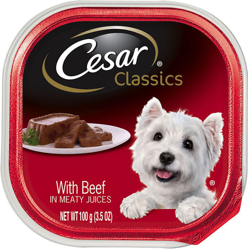 CESAR Canine Cuisine Wet Dog Food - Image 4