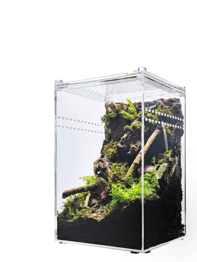 Herpcult Acrylic Enclosure, Tall, Small, 6X6X9.5
