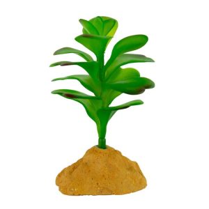Terrassic Terrarium Décor, Jade Cactus, 5 Inches
