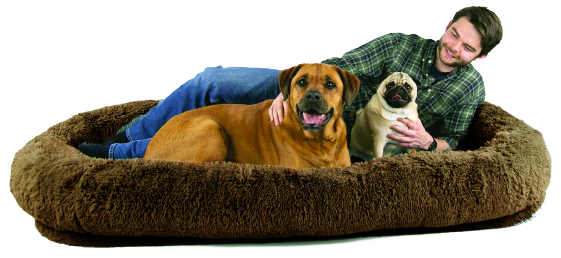 Play On Human-Sized Dog Bed - Image 2
