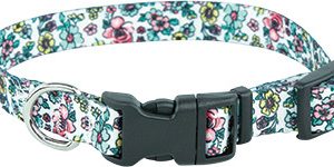 Play On Dog Collar, Sketch Floral