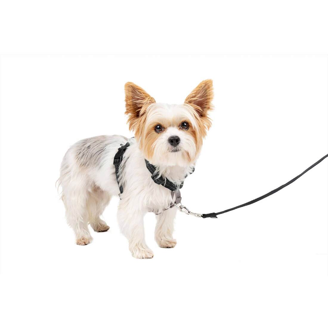 PetSafe® Harness 3 In 1