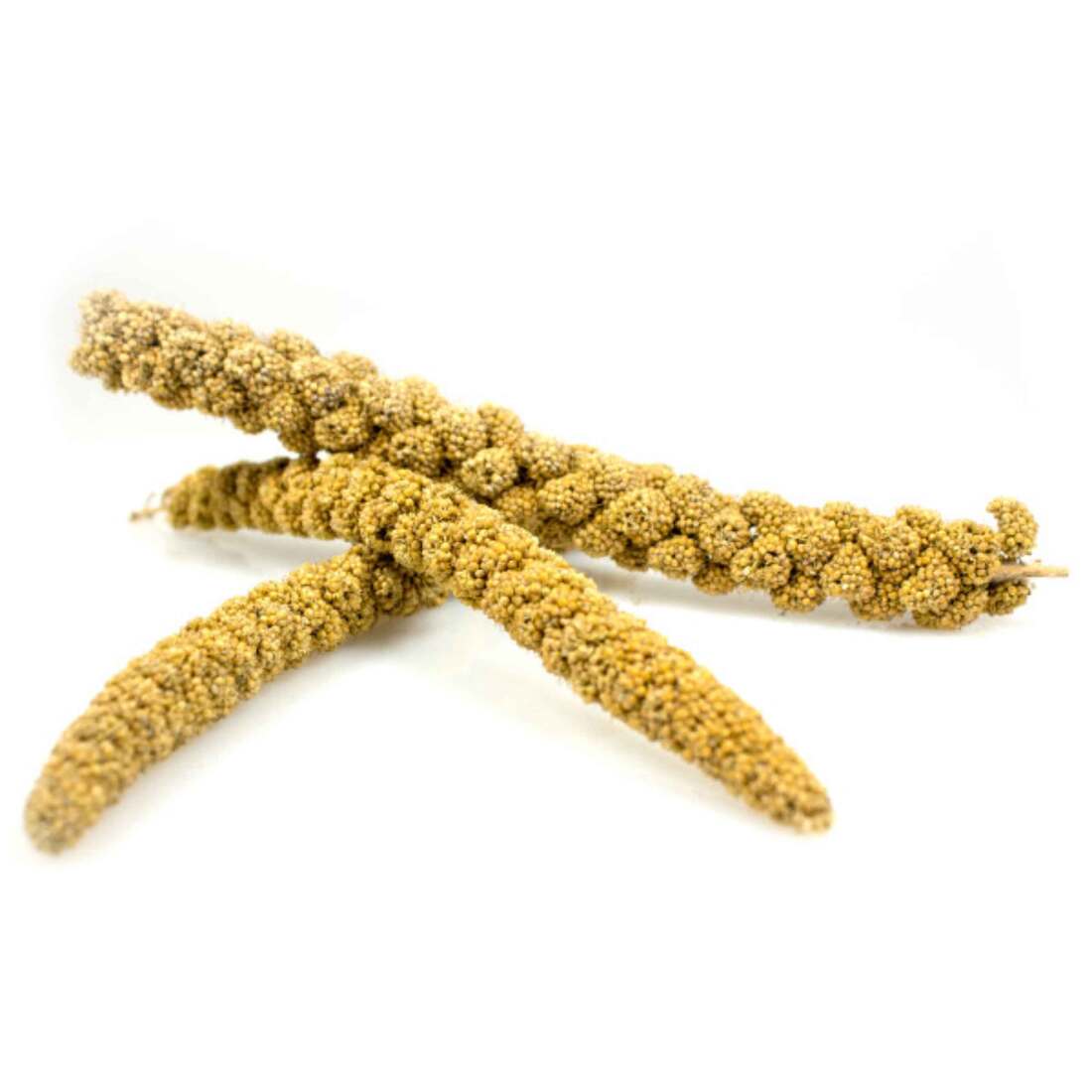 Sunseed Spray Millet