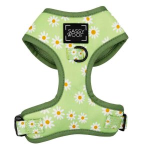 Sassy Woof Adjustable Dog Harness, Dainty Daisy Green