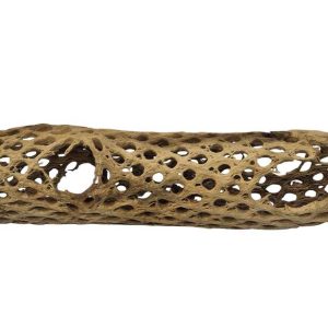 Aqua Natural Cholla Wood, Small