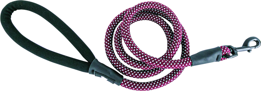 Play On Adventure Reflective Rope Dog Leash, Wine, One Size