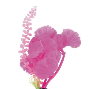 Fins First Silicone Plant, Pink