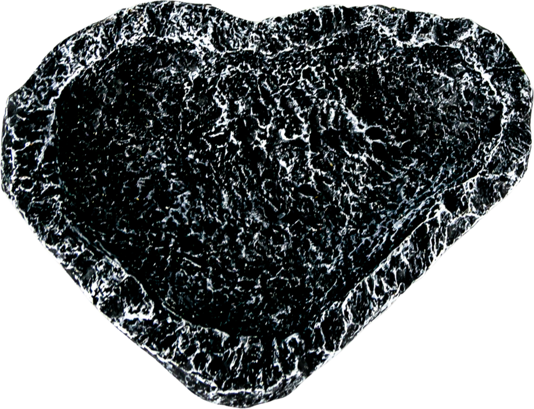 Terrassic Terrarium Décor, Corner Bowl, Small