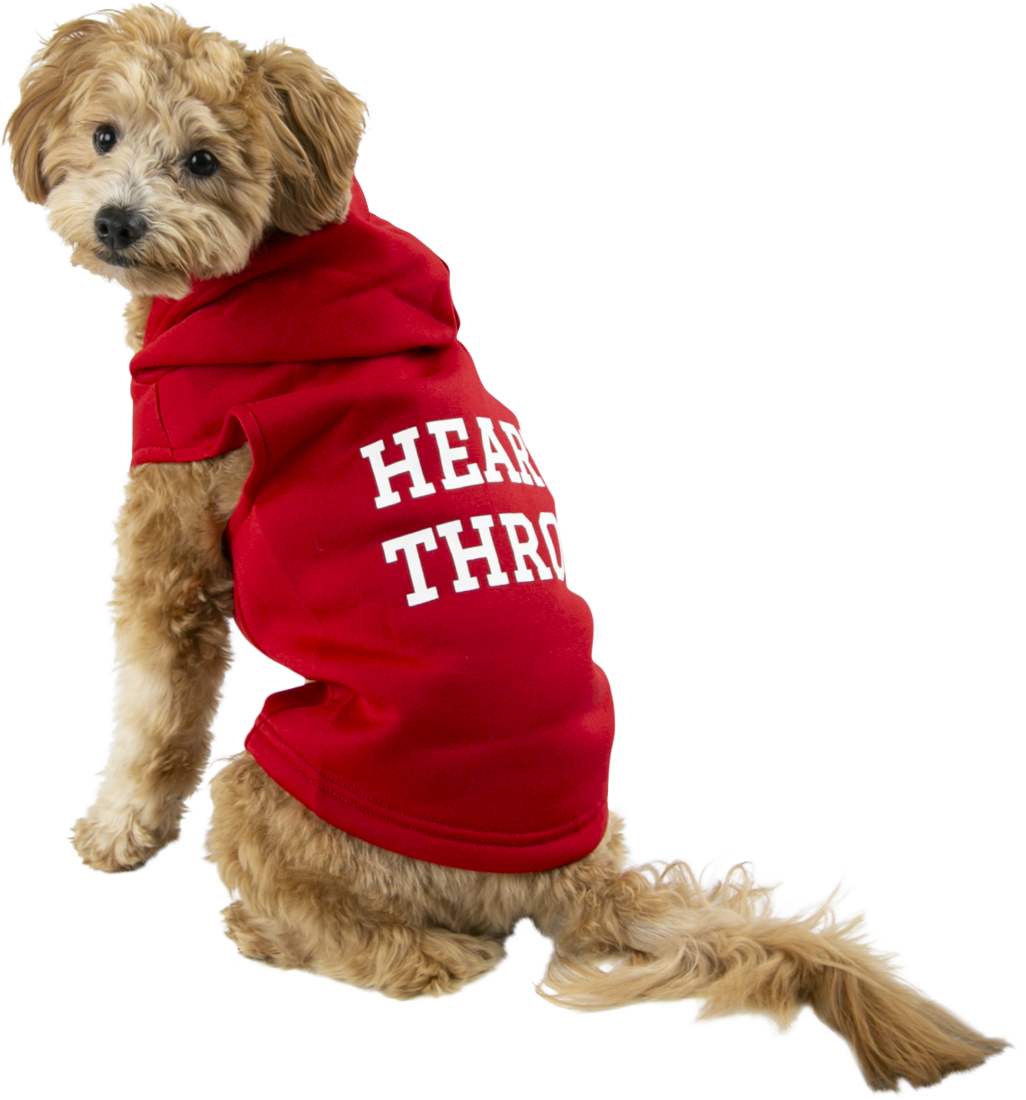 Play On Valentine's Day Hoodie Heart Throb