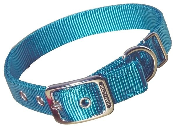 Hamilton Double Thick Nylon Dog Collar
