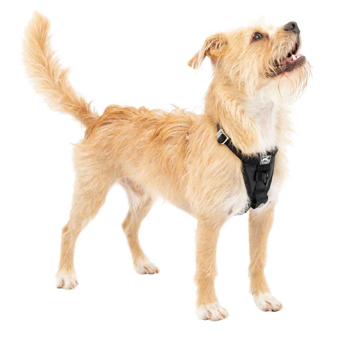 Kurgo Tru-Fit Dog Harness, Black, Extra Small