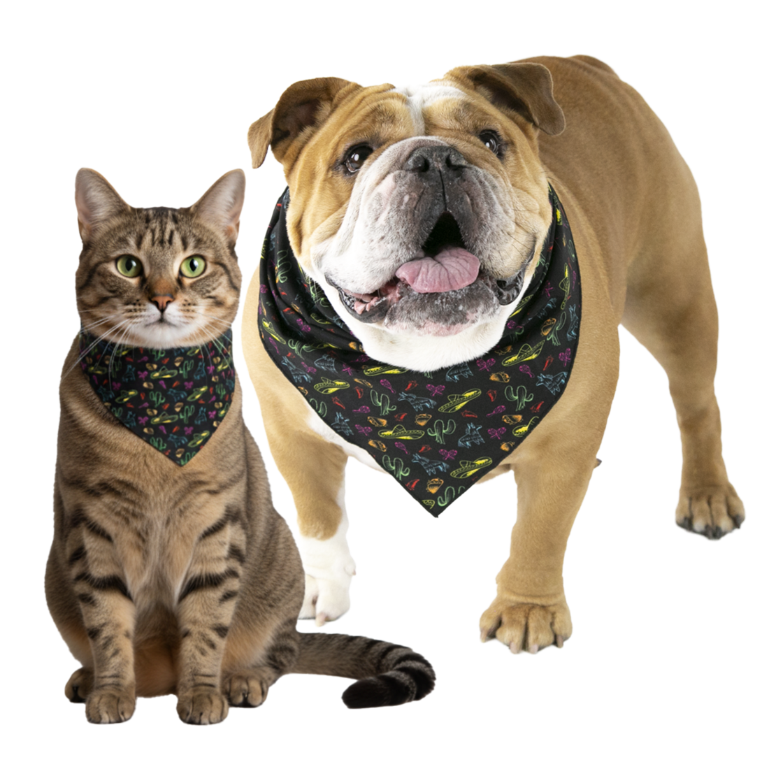 Play On Cinco De Mayo Dog or Cat Bandana, One Size
