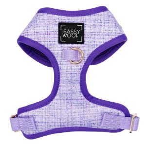Sassy Woof Adjustable Dog Harness, Aurora