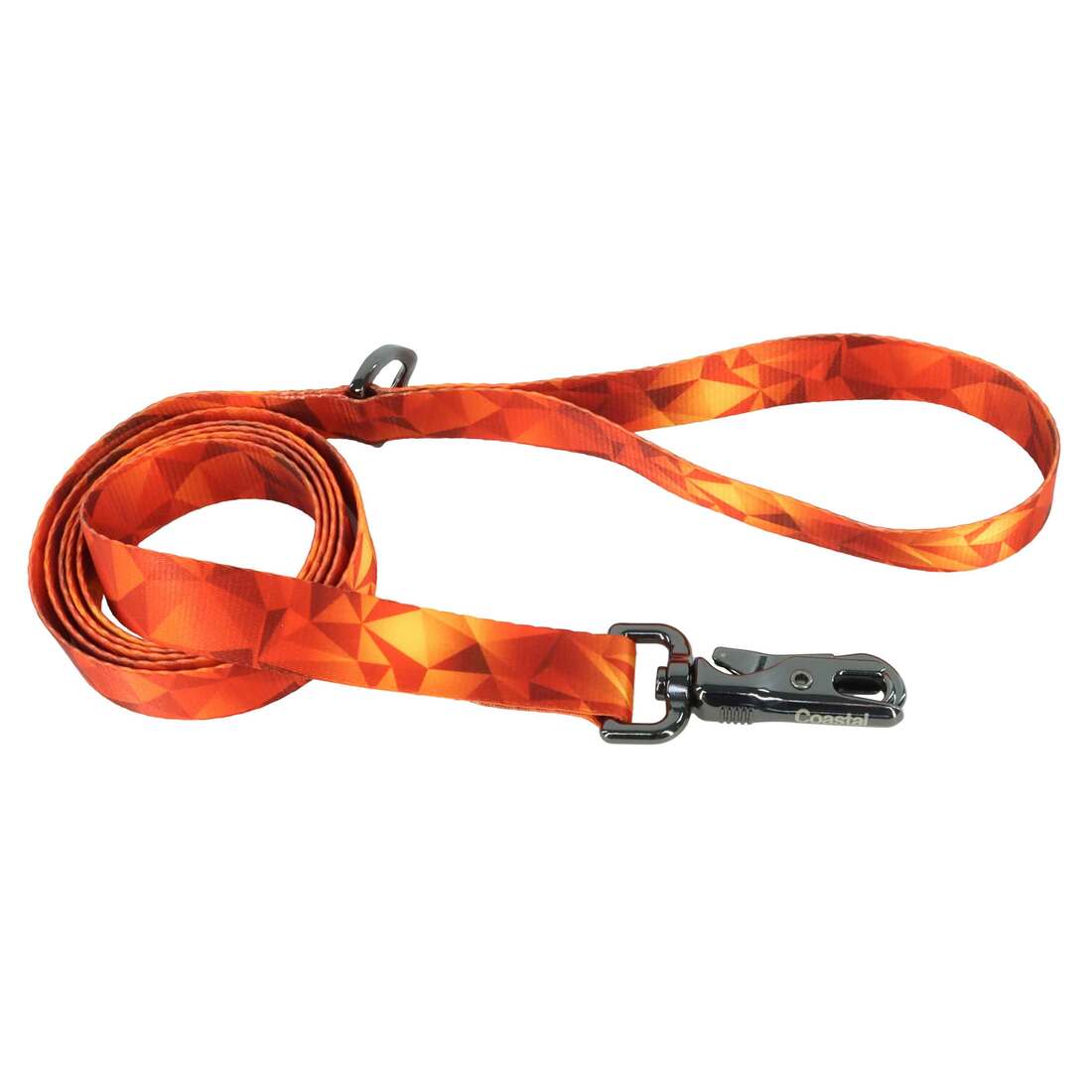 Inspire Fashion Dog Leash, Blazing Shards, Medium/Large