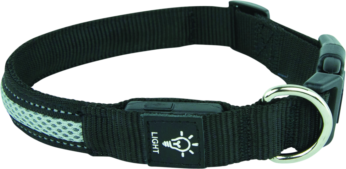 Play On LED Dog Collar, Black/Grey, Large, 1 Inch