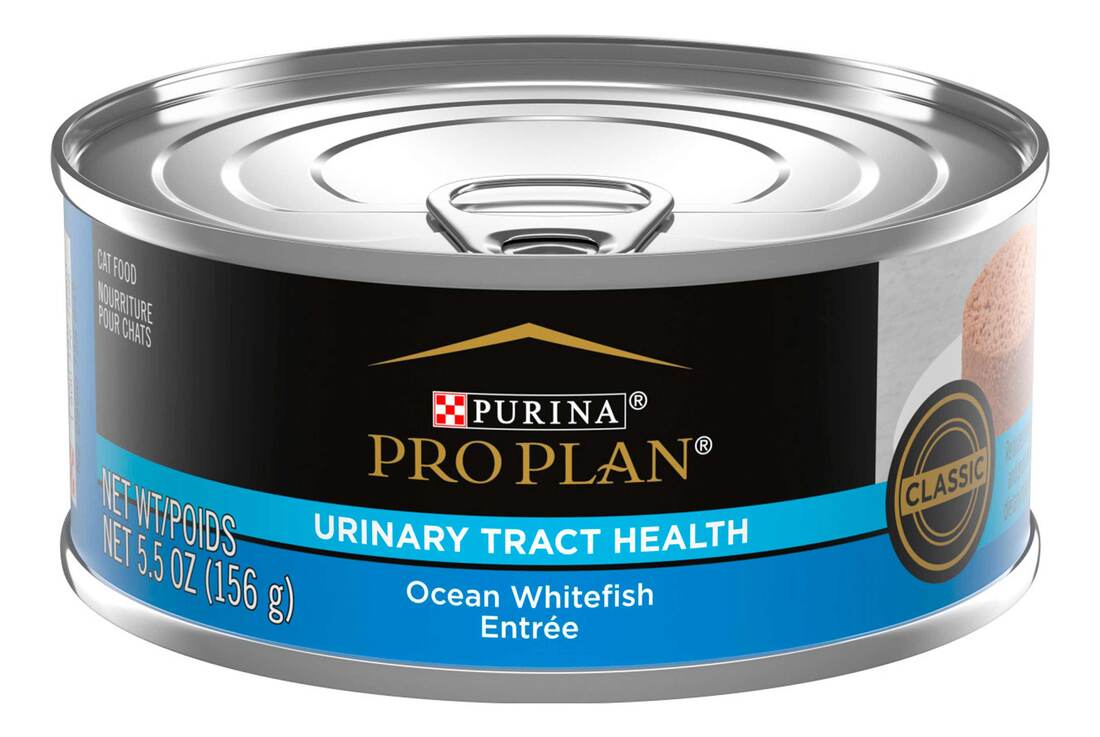 Purina Pro Plan Urinary Tract Cat Food Wet Pate, Ocean Whitefish Entree - 5.5 Ounce Can