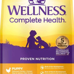 Wellness Complete Health Grain Free Dry Puppy Food, Chicken & Salmon Recipe, 22 Pound Bag