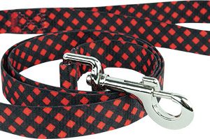 Play On Dog Leash, Buffalo Check, 3/4 Inch x 4 Feet