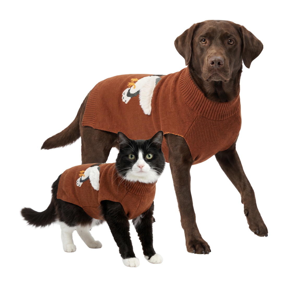 Play On Mallard Dog or Cat Sweater