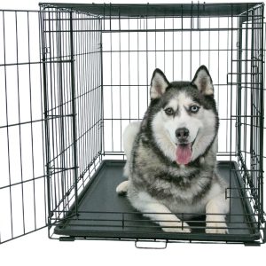 Play On Double Door Crate