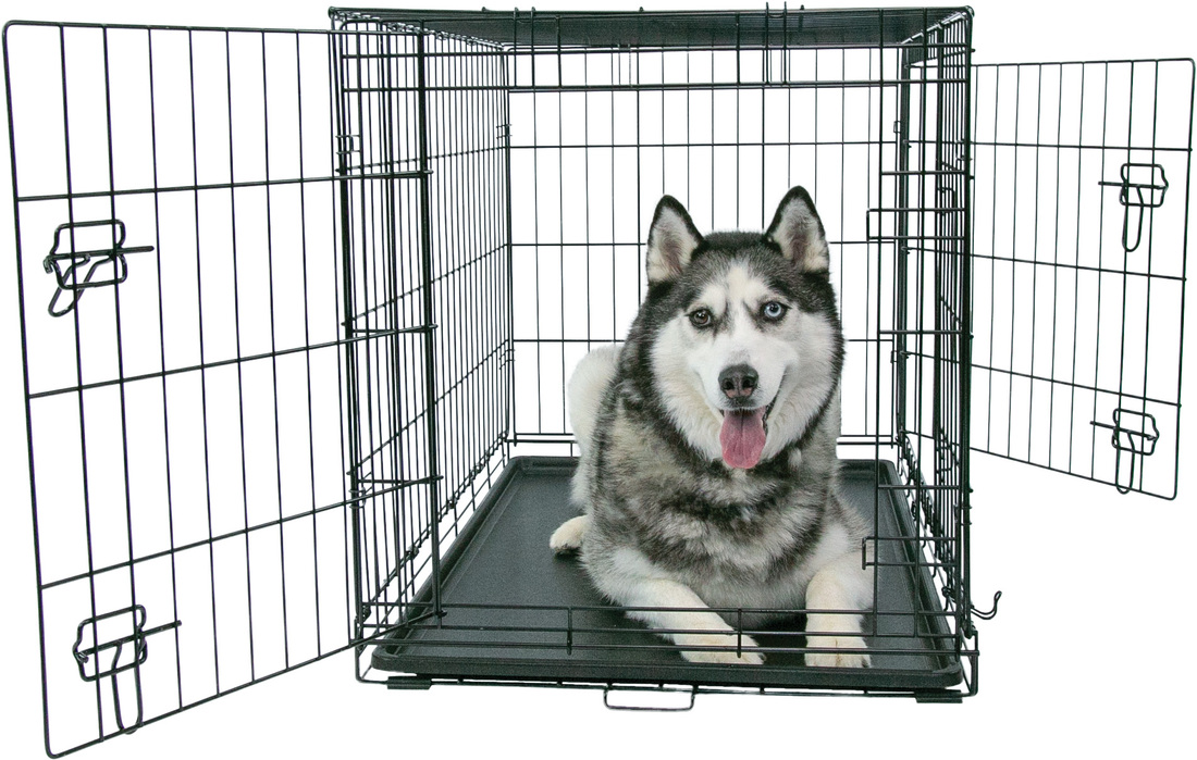 Play On Double Door Crate