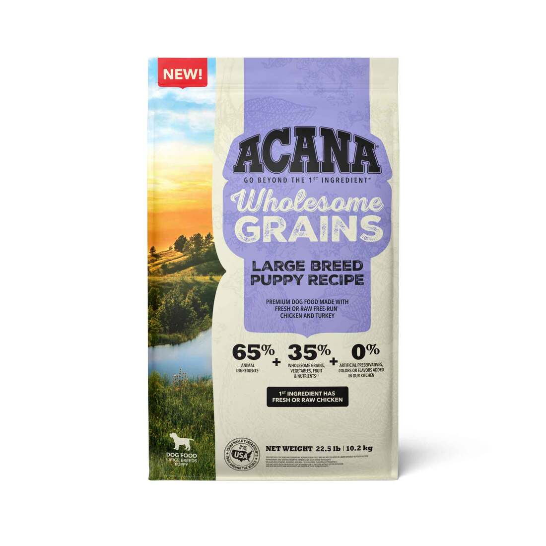 Acana Wholesome Grains Large Breed Puppy Dry Dog Food, Chicken and Turkey, 22.5 Pounds