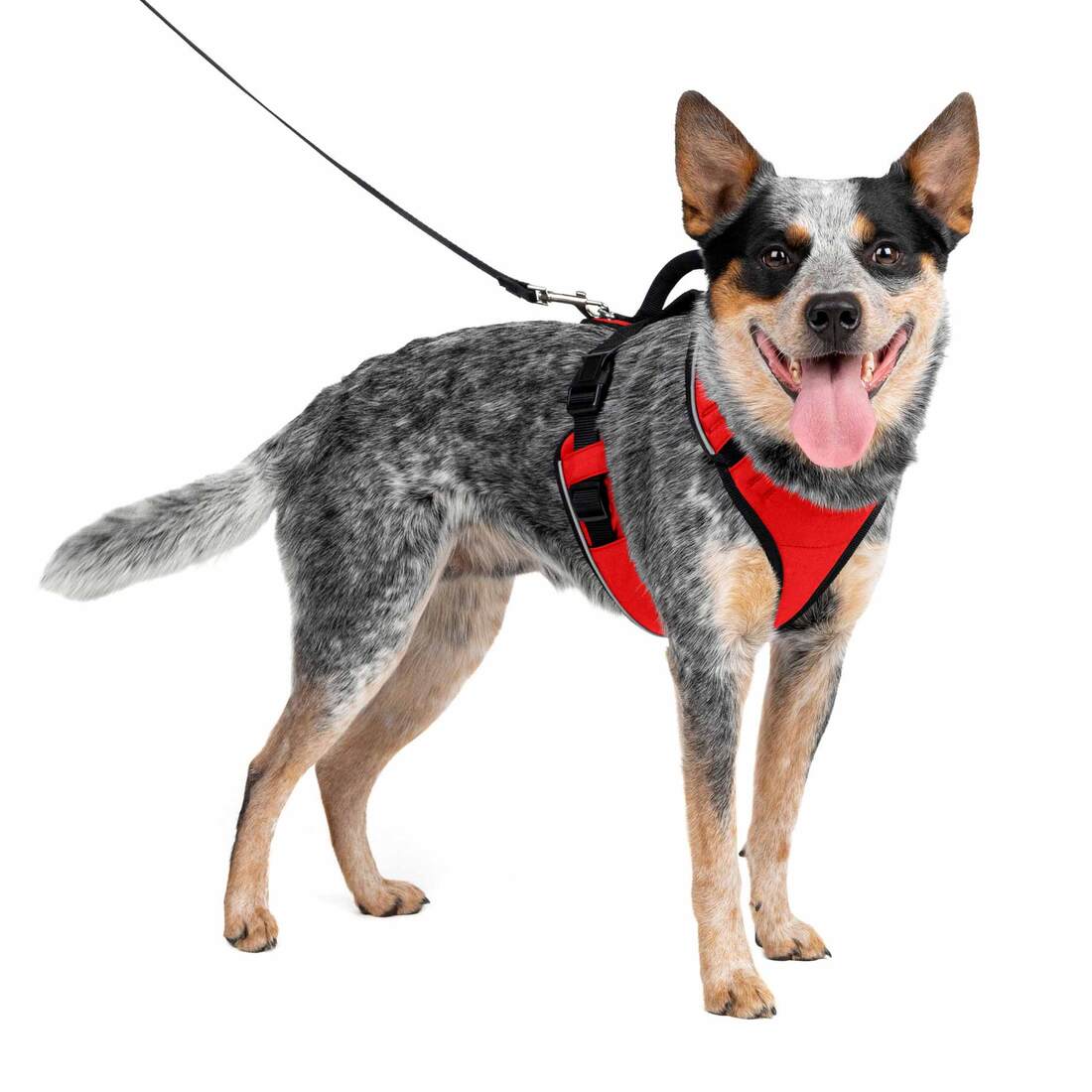PetSafe® EasySport Harness - Image 5