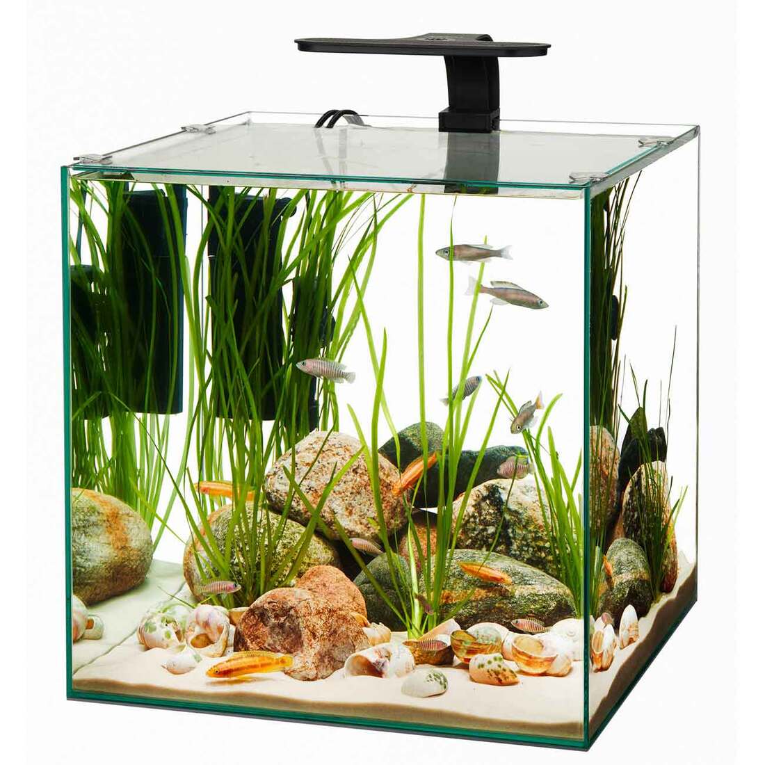 Aqueon Frameless Cube Aquarium - Image 2