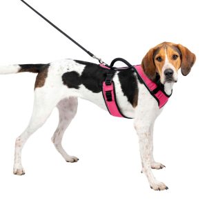 PetSafe Easysport Dog Harness, Pink