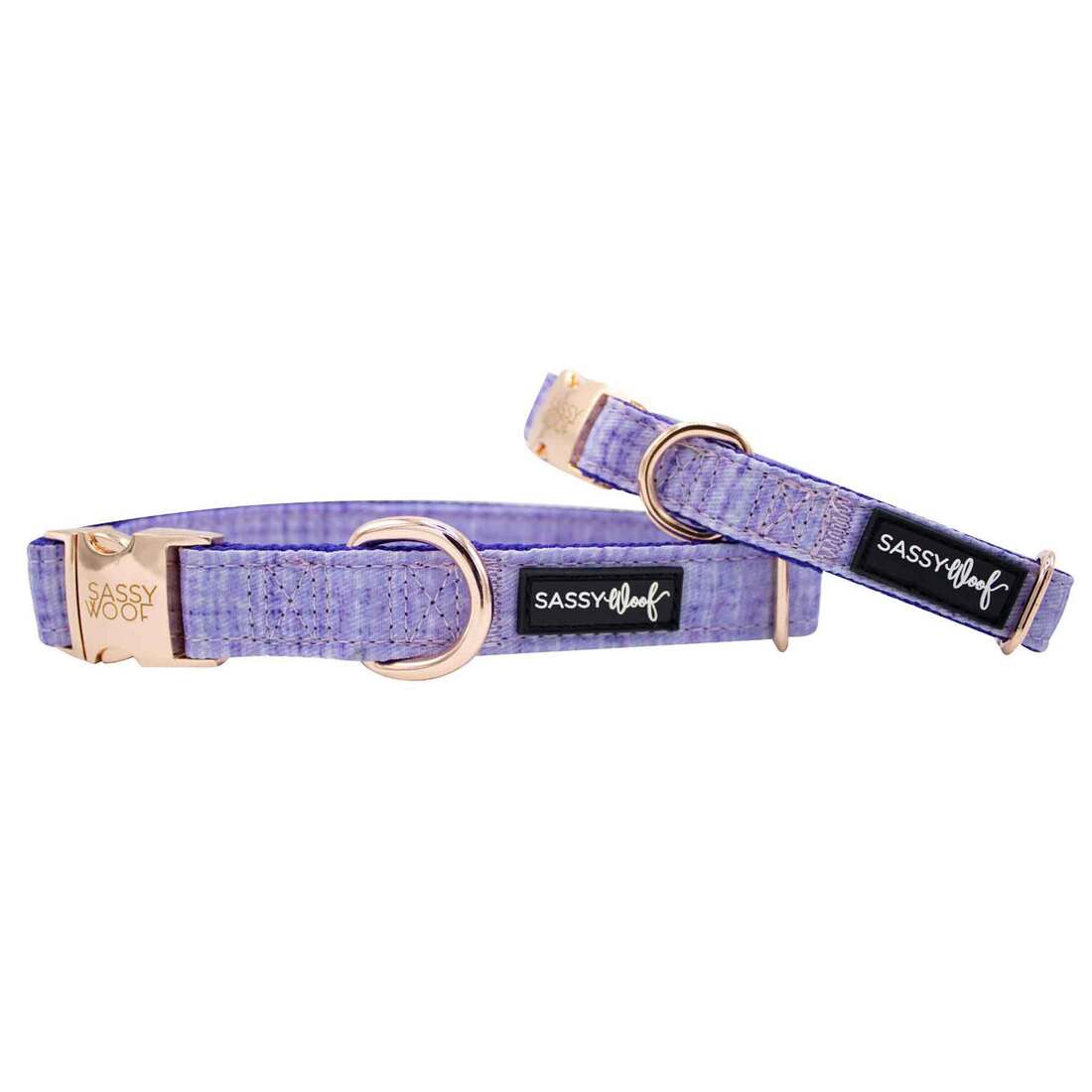 Sassy Woof Dog Collar, Aurora