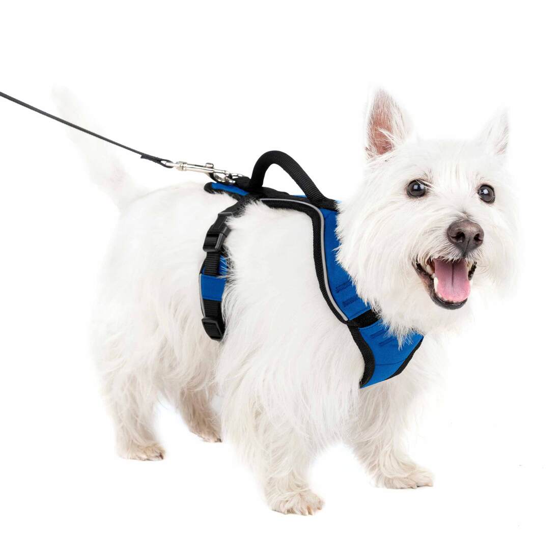 PetSafe® EasySport Harness - Image 10