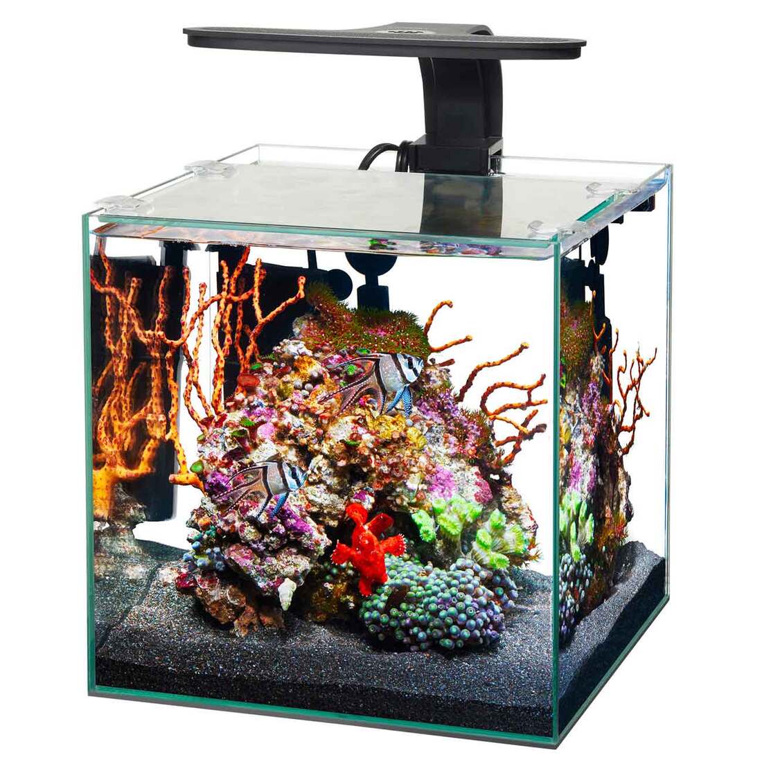 Aqueon Frameless Cube Aquarium - Image 3