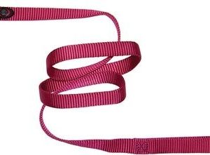 Hamilton Single Thick Deluxe Nylon Lead Raspberry, 5/8"
