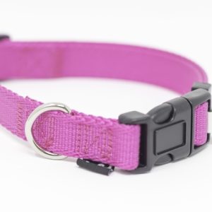 PS+ Dog Collar 14-20 Inches