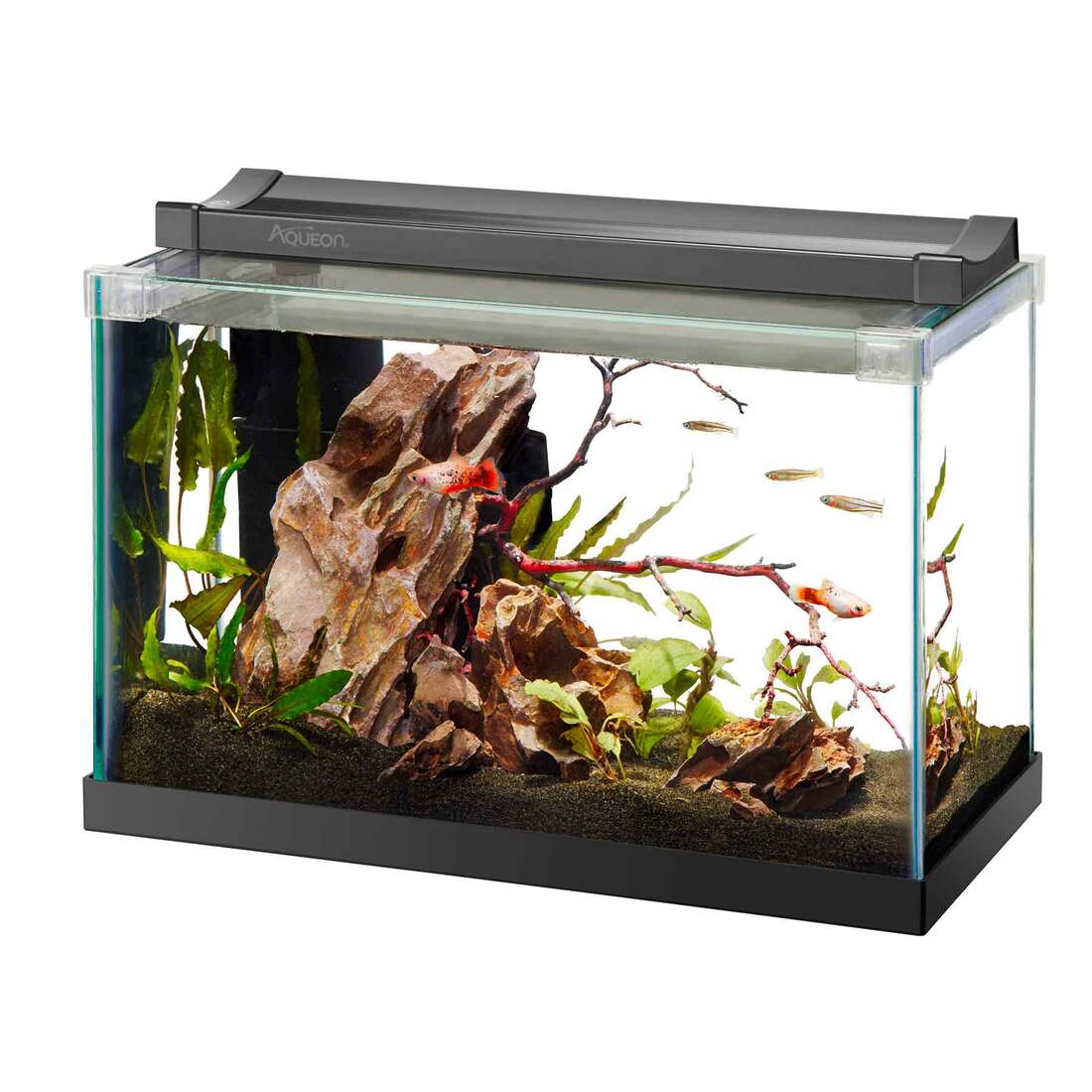 Aqueon Rimless Rectangle Aquarium - Image 3