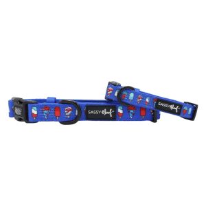 Sassy Woof Dog Collar, Barks & Sparks