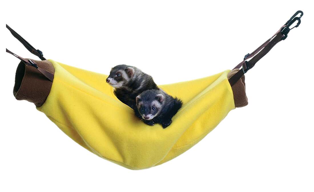 Marshall Banana Hammock
