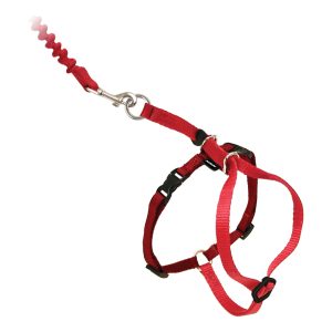 PetSafe® Come With Me Kitty™ Harness & Bungee Leash