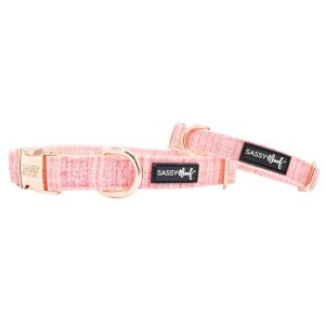 Sassy Woof Dog Collar, Dolce Rose