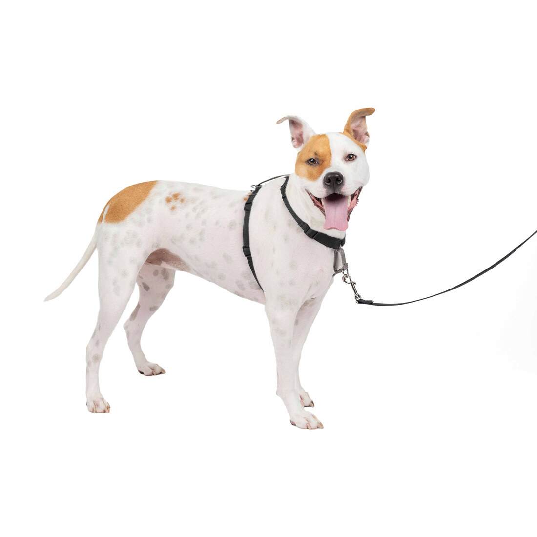 PetSafe® Harness 3 In 1 - Image 3