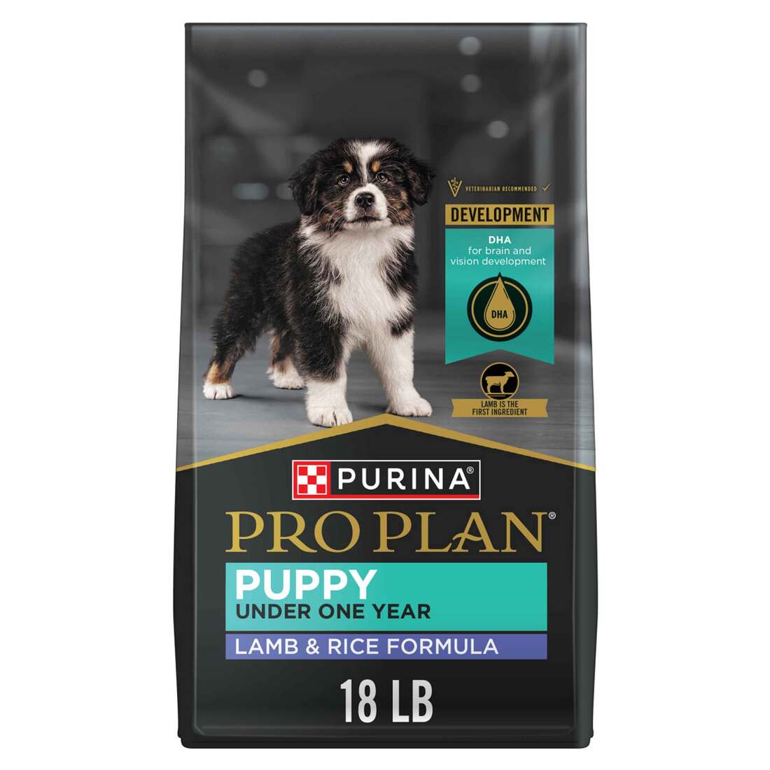 Purina Pro Plan Real Meat, High Protein Dry Puppy Food, Lamb & Rice Formula