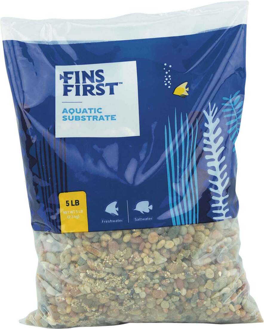 Fins First Gravel On The Lake