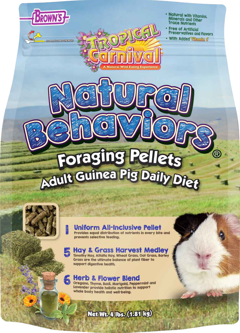 Brown's Natural Behaviors Foraging Pellets Small Animal Guinea Pig Food, 4 Pounds