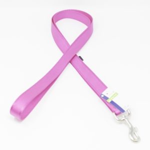 PS+ Dog Leash 6 Feet
