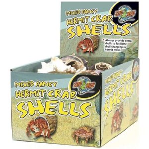 Zoo Med Labs Hermit Crab Fancy Shell 1 Each