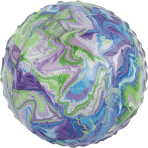 Play On Printed Ball Dog Toy