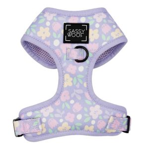 Sassy Woof Adjustable Dog Harness, Fleur De Sass