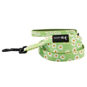 Sassy Woof Dog Leash, Dainty Daisy Green