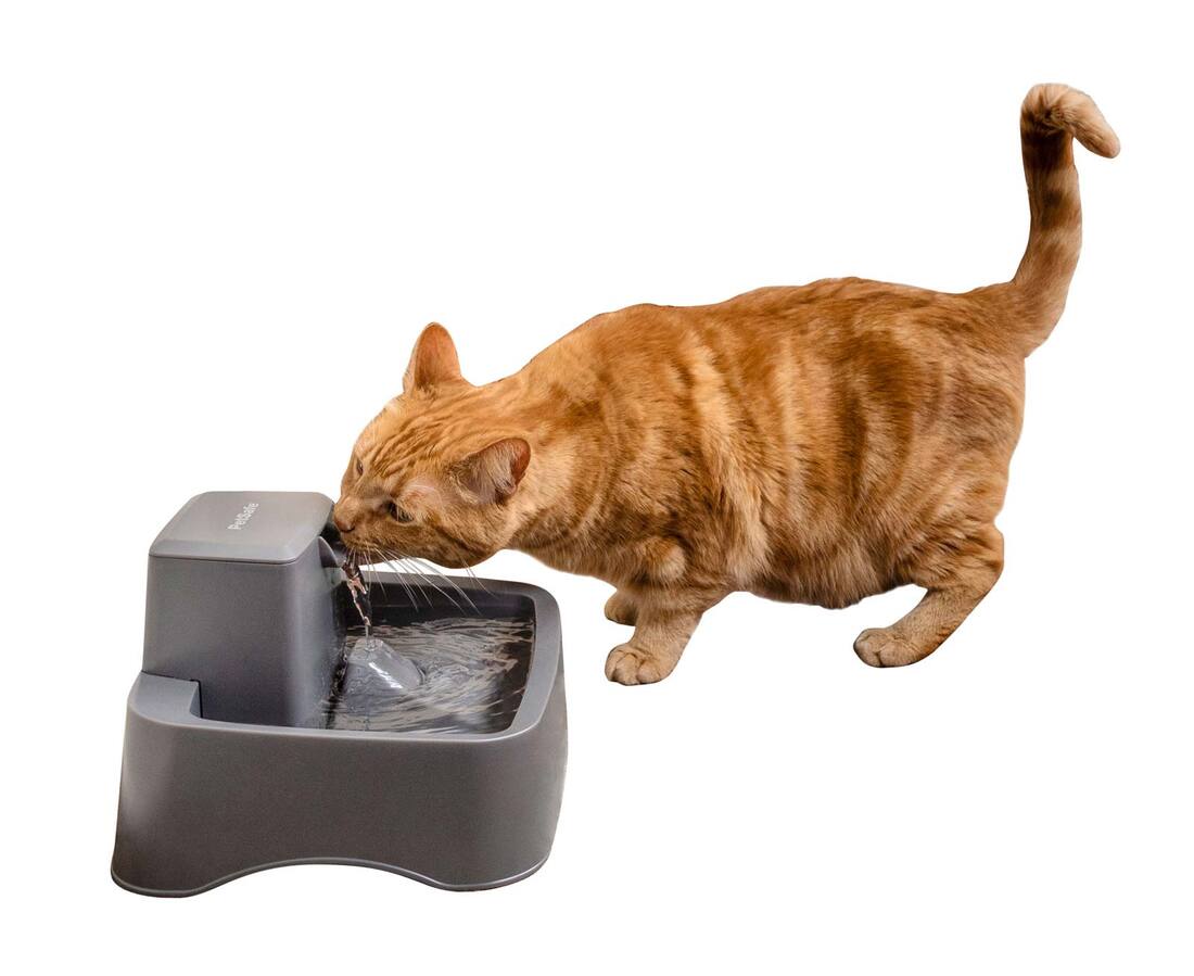 PetSafe Drinkwell 1/2 Gallon Pet Fountain, 64 Ounces